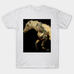 Appaloosa Spirit Horse T-Shirt